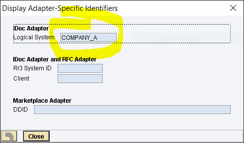 Adapter-Specific Identifiers